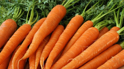 Ăn uống gì trị tàn nhang từ bên trong với cà rốt