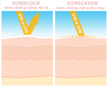 hình kem chống nắng sunblock và sunscreen
