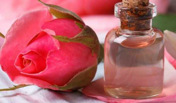 Hướng dẫn cách dùng nước hoa hồng chăm sóc da hiệu quả