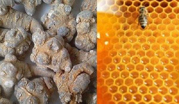 chữa bệnh dạ dày bằng mật ong tam thất