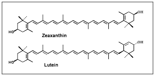 Lutein và Zeaxanthin: 2 chất chống oxy hóa bảo vệ mắt và da