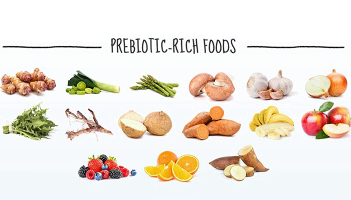 Prebiotic là gì và có tác dụng ra sao