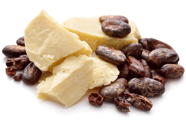 Bơ hạt mỡ và bơ ca cao bạn chọn loại nào để làm đẹp da