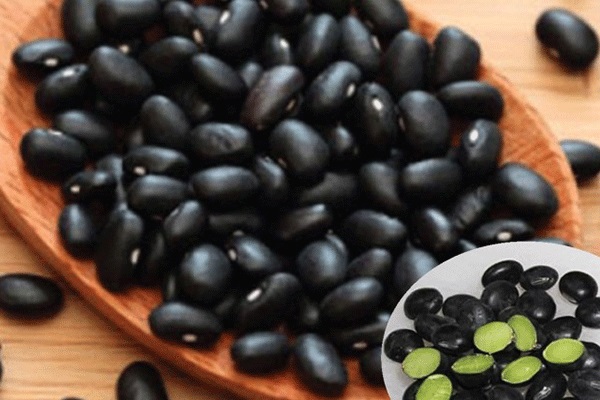 Đậu đen - 1 trong 6 siêu thực phẩm màu đen tốt cho làn da và sức khỏe 