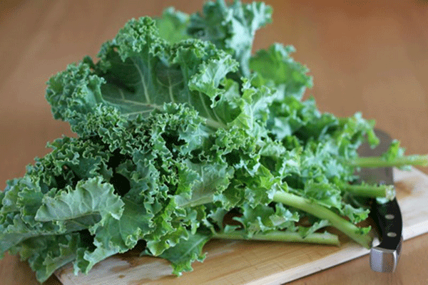 10 loại thực phẩm tốt nhất giúp bạn mau lành bệnh - rau cai xoan kale
