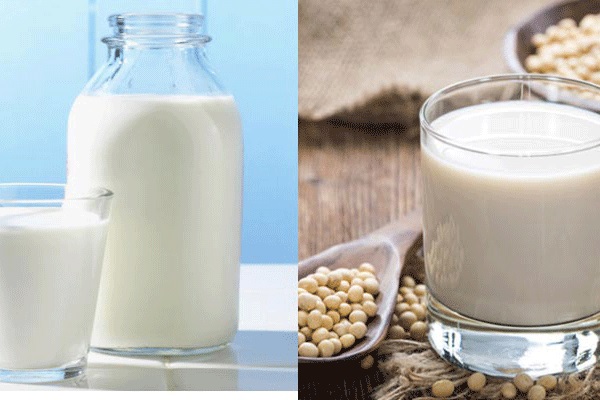 Giữa sữa tươi và sữa đậu nành, nên chọn sữa nào?