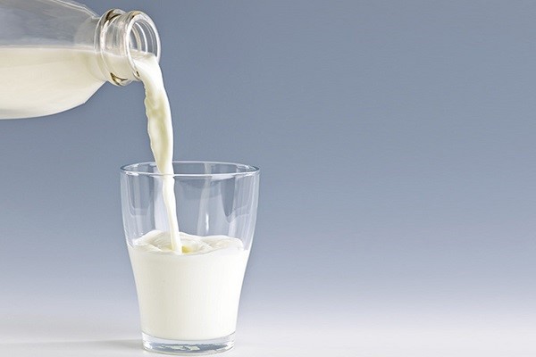 Ngoài sữa chua thì sữa tươi cũng có tác dụng không kém khi chữa bệnh đau dạ dày