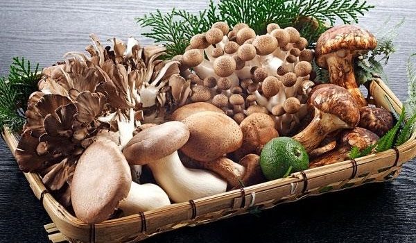 Viêm dạ dày tá tràng nên kiêng ăn gì?Bạn nên trành các loại nấm Viêm dạ dày tá tràng nên kiêng ăn gì?Bạn nên trành các loại nấm