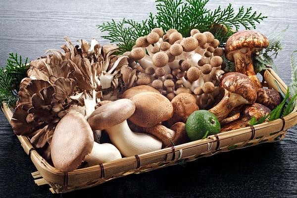 Viêm dạ dày tá tràng nên kiêng ăn gì?Bạn nên trành các loại nấm Viêm dạ dày tá tràng nên kiêng ăn gì?Bạn nên trành các loại nấm