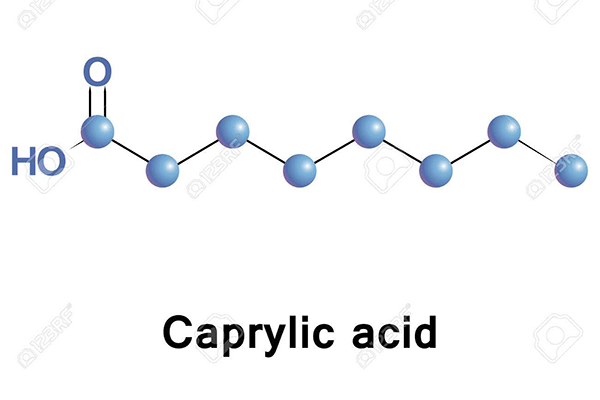 5 lợi ích của Acid Caprylic và các tác dụng phụ 1
