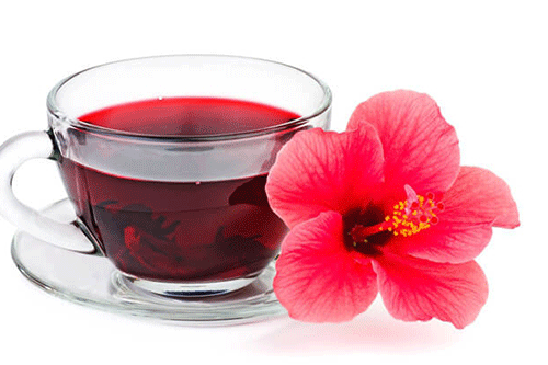 Trà dâm bụt : Lợi ích, cách pha trà và tác dụng phụ - tra hoa dam but