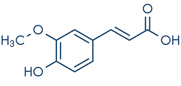 Acid Ferulic - chất chống oxy hóa tuyệt vời - Acid Ferulic 2