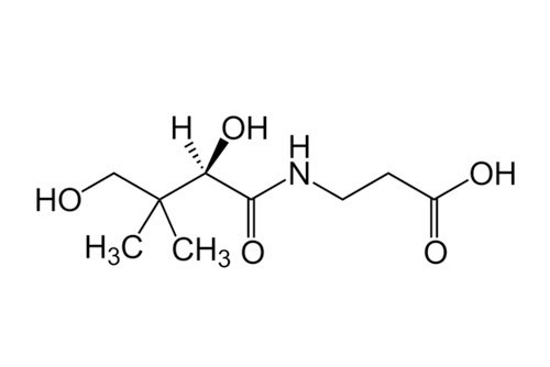 Lợi ích cho da của Acid Pantothenic (vitamin B5) - Acid Panthothenic 1