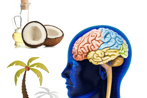 Các lợi ích đáng ngạc nhiên của cơm dừa - dau dua co loi cho nao