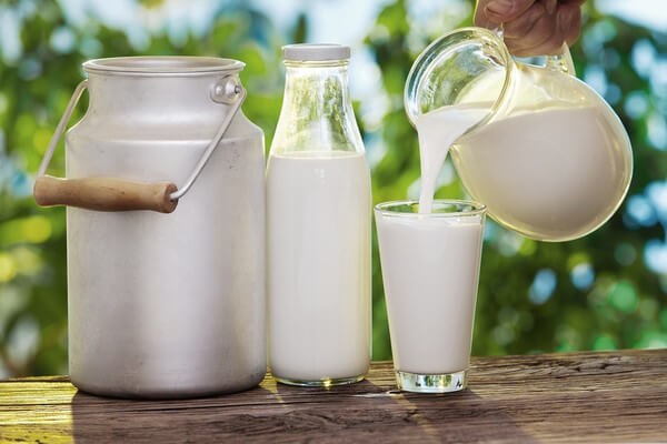 Uống sữa tươi không đường có trắng da không