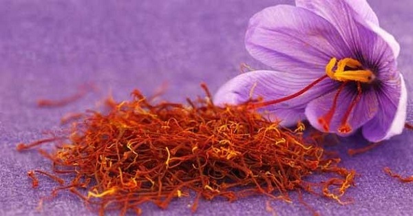 Tại sao saffron có công dụng hỗ trợ điều trị mất ngủ?