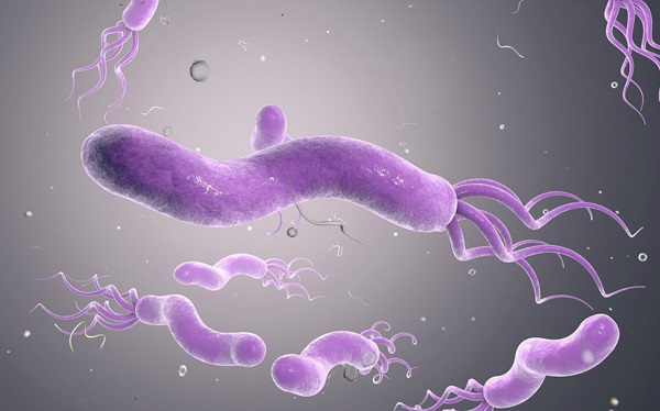 Vi khuẩn Hp có chữa khỏi không?