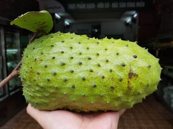 Chữa ung thư dạ dày bằng nước ép mãng cầu xiêm
