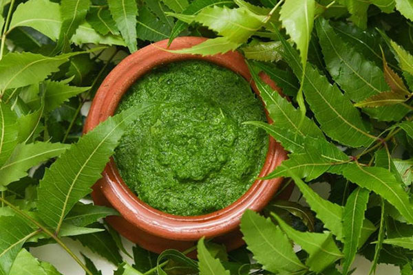 10 mặt nạ neem tuyệt vời cho mọi loại da - la neem 1