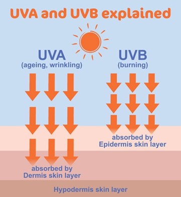 Đừng hiểu sai về SPF - Yếu tố bảo vệ chống nắng - UVA UVB