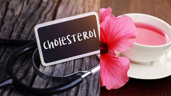 Trà dâm bụt : Lợi ích, cách pha trà và tác dụng phụ - tra dam but giam cholesterol moi