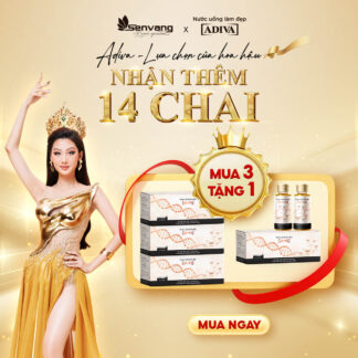Combo 3 hộp COLLAGEN ADIVA (14 chai/hộp) 2,433k giảm còn 2,175k tặng: 1 hộp COLLAGEN ADIVA (14 chai/hộp)